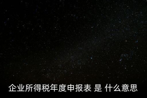 企業所得稅年度申報表 是 什么意思