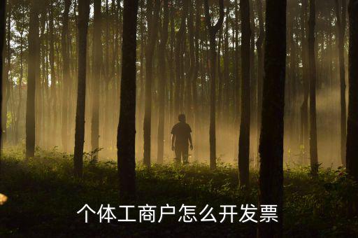 個體工商戶怎么開發票