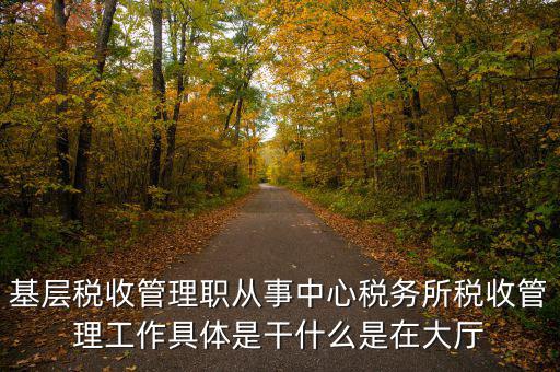 稅源管理干什么，基層稅收管理職從事中心稅務所稅收管理工作具體是干什么是在大廳