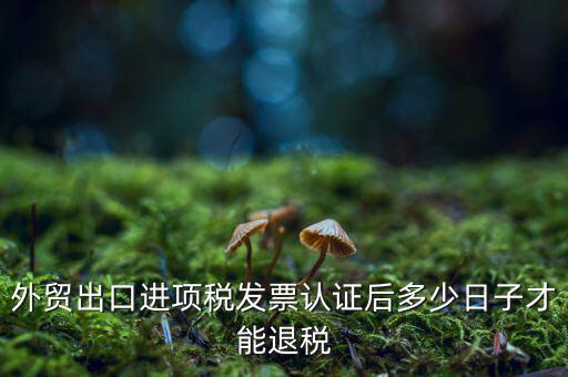 什么時候可以退稅，退稅是按進項發票認證的時間來退稅的
