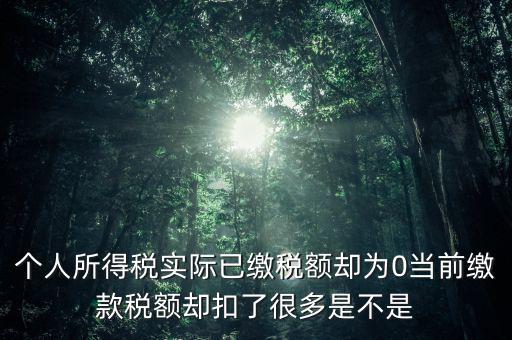 實繳稅額為什么是0，當期的實交增值稅額為0是否進行城建稅的申報什么意思可以不用申報