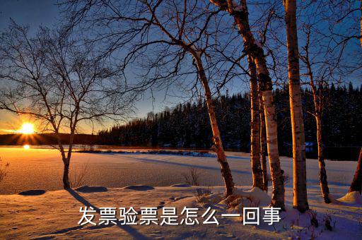 發票驗票是怎么一回事