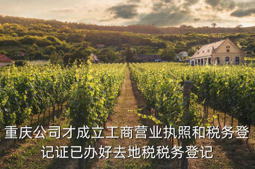 重慶公司才成立工商營業執照和稅務登記證已辦好去地稅稅務登記