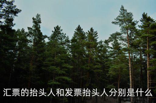 發票司稱人什么意思，匯票的抬頭人和發票抬頭人分別是什么