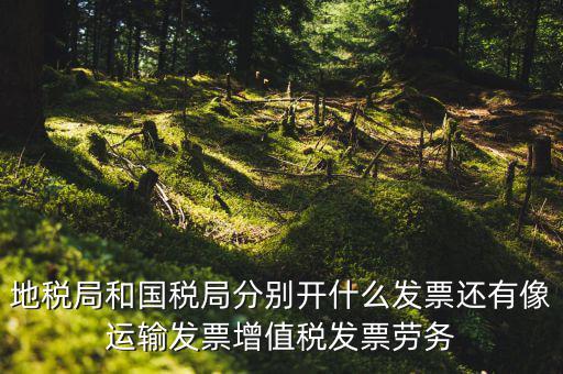 地稅局和國稅局分別開什么發票還有像運輸發票增值稅發票勞務