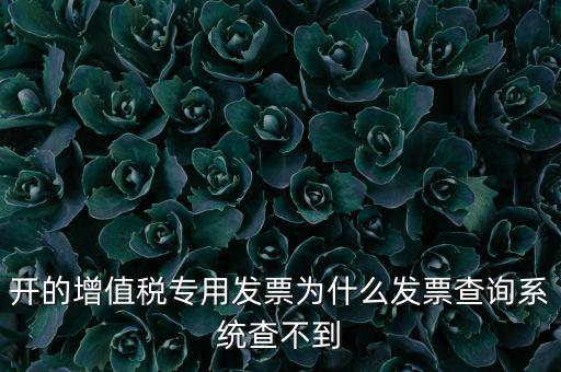 開的增值稅專用發票為什么發票查詢系統查不到