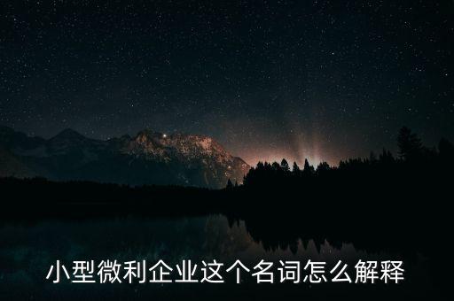 微利成公司是什么意思，小型微利企業這個名詞怎么解釋