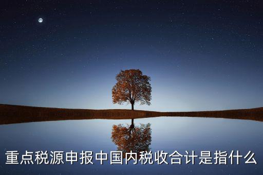 重點稅源申報中國內稅收合計是指什么