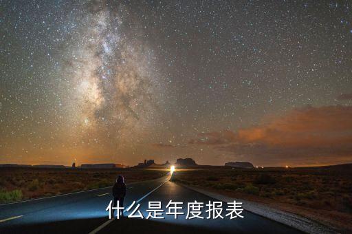 什么是年度報表