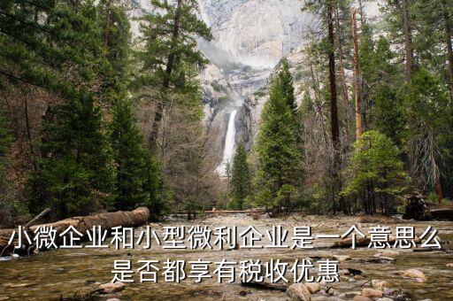 小型微利企業是什么，小微企業和小型微利企業是一個意思么是否都享有稅收優惠