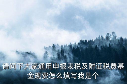請問下大家通用申報表稅及附證稅費基金規費怎么填寫我是個