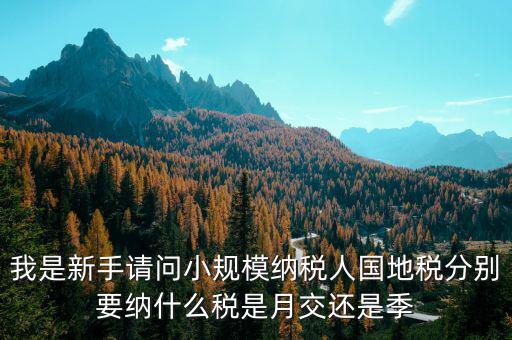 我是新手請問小規模納稅人國地稅分別要納什么稅是月交還是季