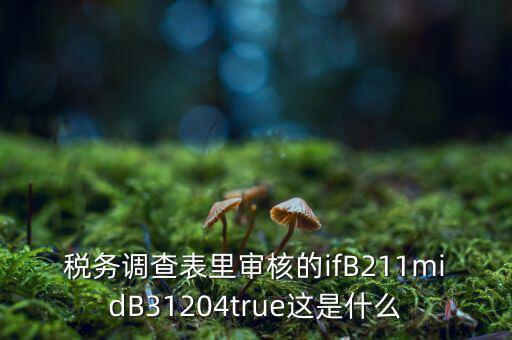 國稅調查表有什么意義，國稅要求地址普查的目的是什么