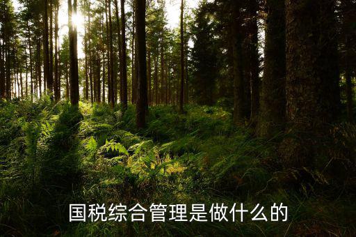 國稅綜合業務是什么，國稅綜合管理是做什么的