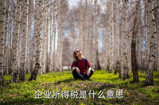 企業所得稅指的什么意思，什么是企業所得稅