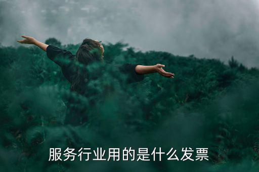 服務業發票是什么發票，服務發票是不是普通發票的一種
