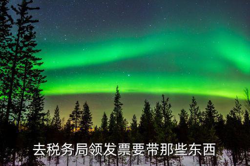 去稅務局領發票要帶那些東西
