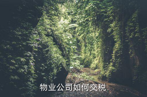 物業公司如何交稅