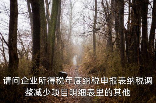 請問企業所得稅年度納稅申報表納稅調整減少項目明細表里的其他