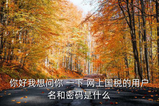 你好我想問你 一下 網上國稅的用戶名和密碼是什么