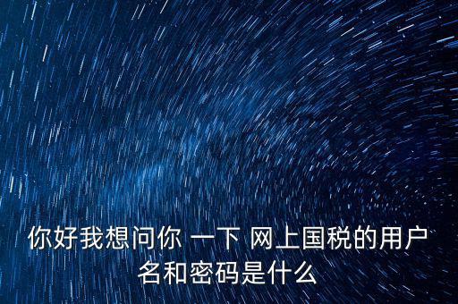 你好我想問你 一下 網上國稅的用戶名和密碼是什么