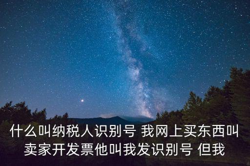 什么叫納稅人識別號 我網上買東西叫賣家開發票他叫我發識別號 但我