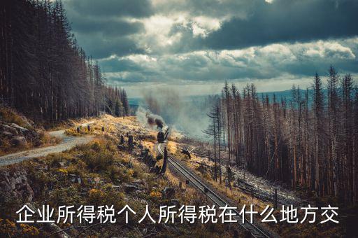 企業所得稅個人所得稅在什么地方交