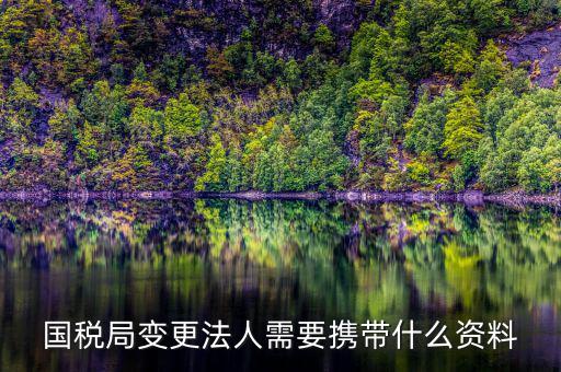 稅務(wù)變更法人需要什么資料，國稅局變更法人需要攜帶什么資料