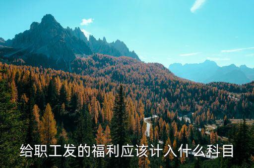 給職工發的福利應該計入什么科目