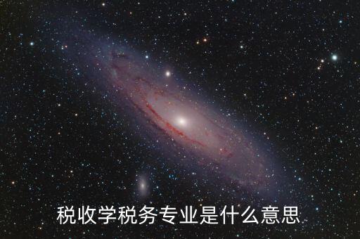 稅收學稅務專業是什么意思