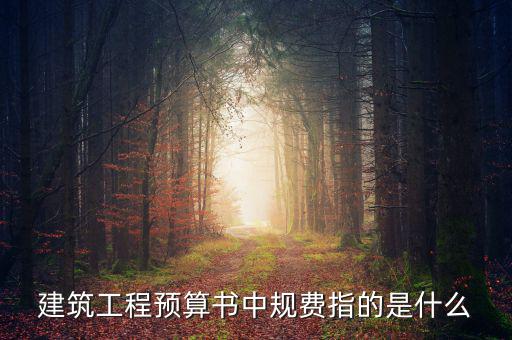 建筑工程預算書中規費指的是什么