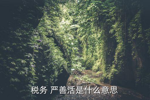 中國稅務精神是什么意思，稅務是什么意思啊學什么內容