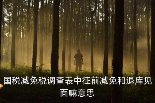 國稅減免稅調查表中征前減免和退庫見面嘛意思