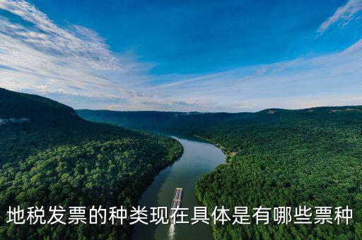 地稅現在還有什么發票，地稅局和國稅局分別開什么發票還有像運輸發票增值稅發票勞務