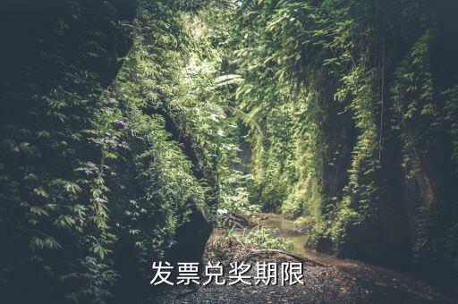 發票兌獎期限