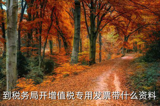 到稅務局開增值稅專用發票帶什么資料