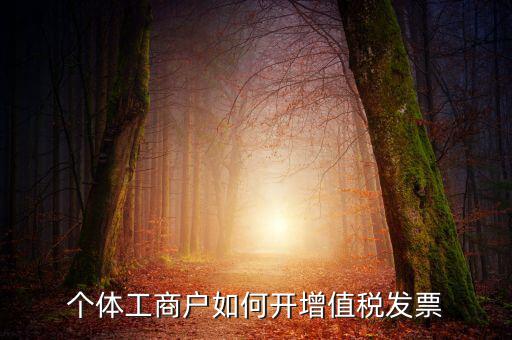 個體工商戶如何開增值稅發票