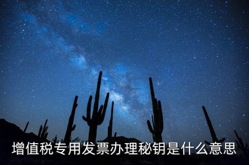 稅務密鑰是什么意思，增值稅專用發票辦理秘鑰是什么意思