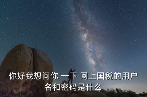 你好我想問你 一下 網上國稅的用戶名和密碼是什么