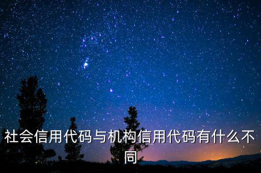 社會信用代碼與機構信用代碼有什么不同
