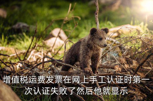 增值稅運費發(fā)票在網(wǎng)上手工認證時第一次認證失敗了然后他就顯示