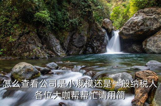 怎么查看公司是小規模還是一般納稅人各位大咖幫幫忙請用簡
