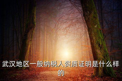 納稅資質證明是什么意思，什么是稅務證明