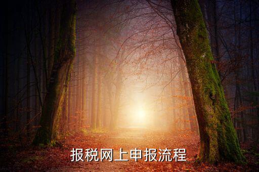 報稅網上申報流程