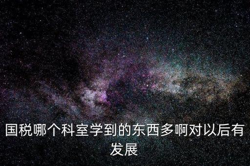 國稅哪個科室學到的東西多啊對以后有發展