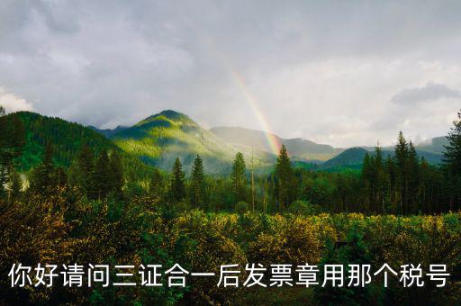 你好請問三證合一后發票章用那個稅號