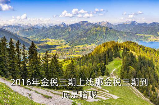 金金稅三期是什么，金稅三期是什么意思