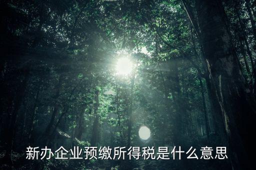 新辦企業預繳所得稅是什么意思