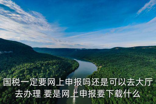 地稅進國稅要下載什么，深圳國地稅想網上申報要下載什么東西嗎