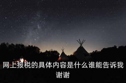 網上報稅的具體內容是什么誰能告訴我謝謝